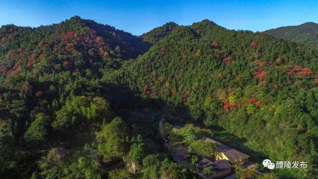 关于沩山,我想告诉你……