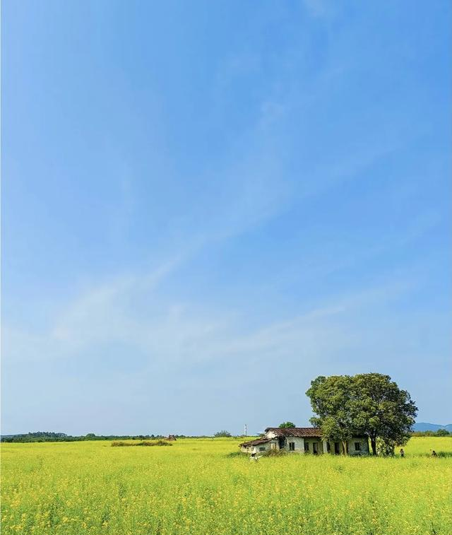 五一，建议你直奔广东阿勒泰