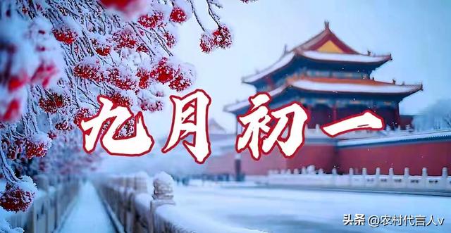 今日九月初一，“冷不冷，就看九月初一”，今年冬天真要冻哭？