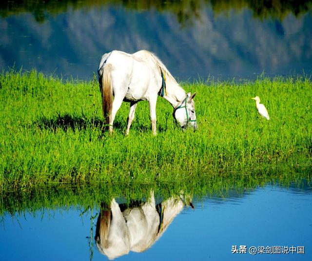 “圣境甘南·心灵之旅”夏河县文旅招商推介暨颁奖典礼在兰州举行