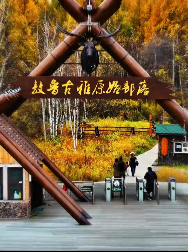 美到窒息！大兴安岭的秋，治愈一切不开心！再不来等一年