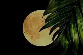 太阳和月亮图片