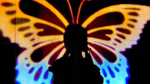 留言送票！周末新去处！超美“蝴蝶秘境”，绽放潍坊古民居→