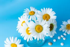 什么属相的天秤命最好图片