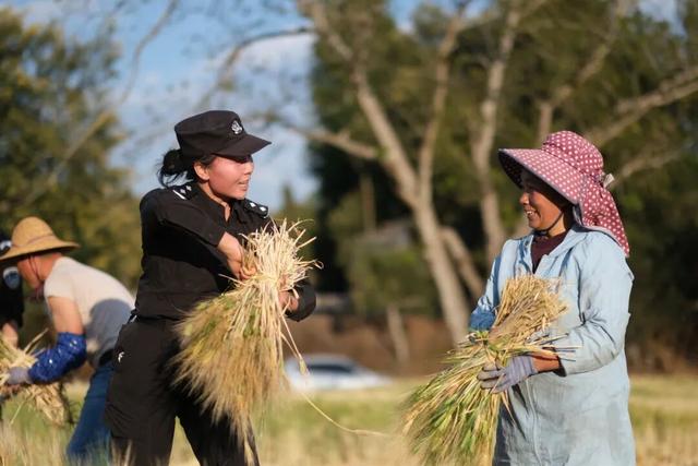 弥勒的快乐密码：景美，人暖，治安更赞！