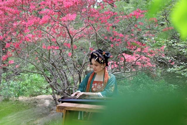 精彩演艺轮番炸场！这个假期，五莲等你来！