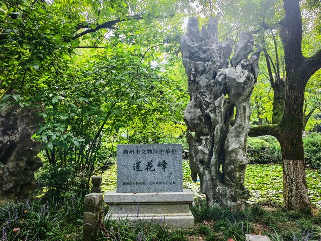 CityWalk湖州·遇见最江南｜从小西街到莲花庄，来一场“青绿雅集”式的文艺漫步