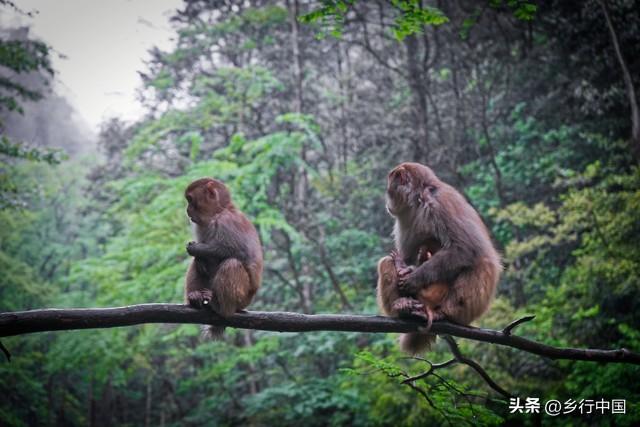 大手笔！渝湘鄂黔四省市联手打造武陵山世界旅游度假区的战略构想