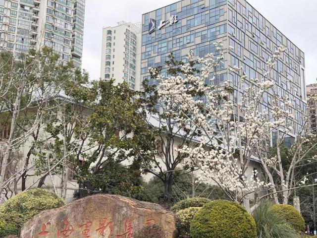 徐汇区春花开放预告来了！缤纷花海绘就早春图景