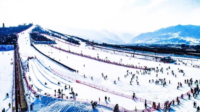 新场景新玩法激活新消费 新年文旅人数、经济喜迎“开门红”