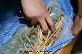 天津一中学宿舍床垫用杂草填充？家长：花3000多买的，孩子天天睡，教育局回应：属实，已开始调查图片