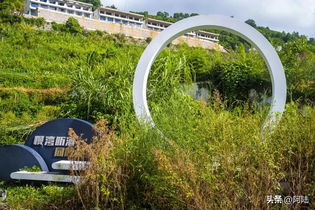 西湾一沙村的海边湿地绿意葱茏十分养眼，长堤之外就是滩涂和大海