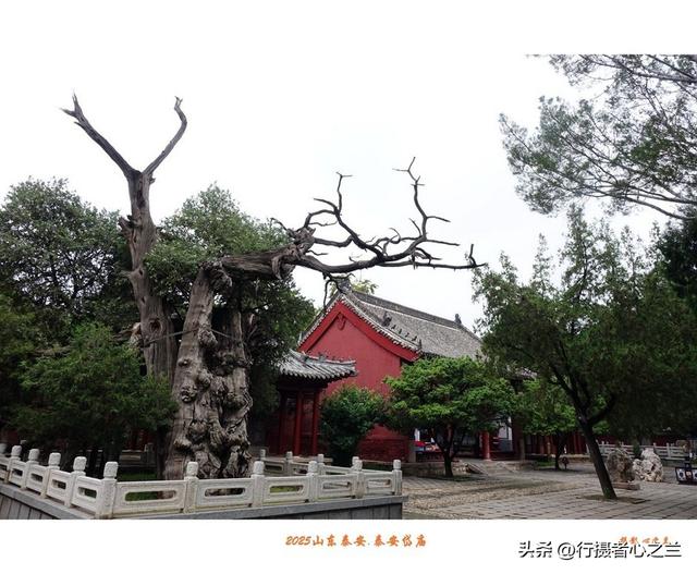 山东行游影记（307）—泰安岱庙（三）