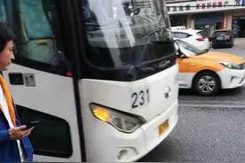 阳逻到花山软件新城，231公交最快线路，全程只需1小时9分图片