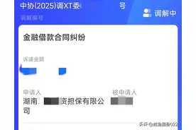 起诉与被起诉，与某呗的纠纷进入合法途径。图片