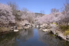 【透视社·全民健康】一入春就痒痒？皮肤过敏“元凶”到底是谁图片