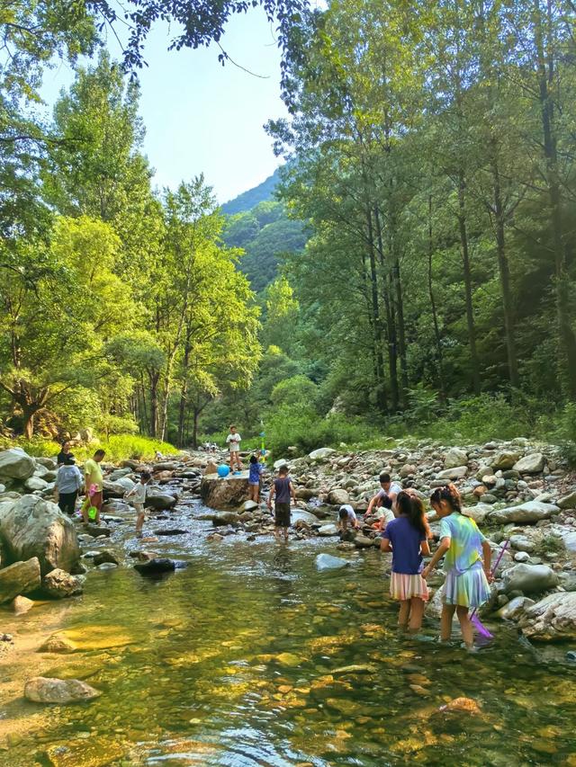 秦岭22℃的夏天 | 全部免费！西安6个避暑玩水遛娃好去处！