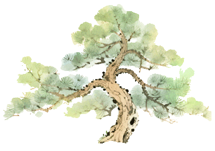 奋进的南平·我们的“十四五”｜风光“变现”、山水“生金”！南平奋力打造生态文明建设典范