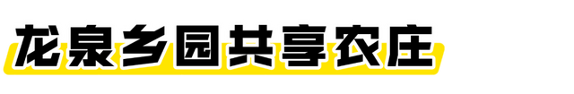 海口经济圈 | 文昌宠粉福利来袭→