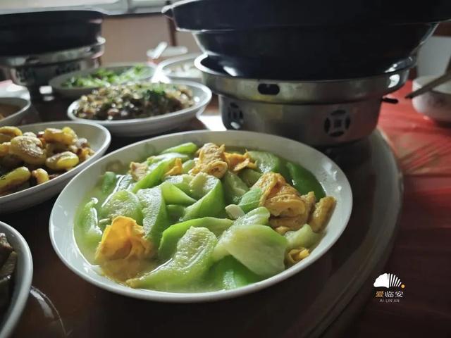 这届春假，临安申请出战！