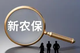 缴15年一年就领回本？新农保哪个档次最划算：每年4800元能领多少图片