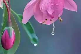 适合中老年人的早安祝福语文案‖吉祥安康，赞爆朋友圈！图片