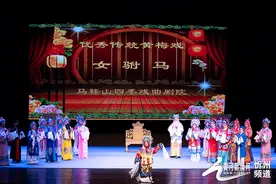 黄梅戏名家吴琼携经典剧目《女驸马》亮相忻州大剧院图片