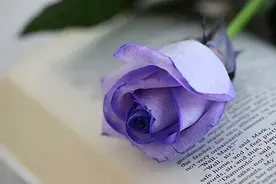 遇事最聪明的处理方式：压住火，沉住气，稳住嘴图片