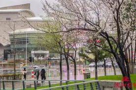 最高11级！大风黄色预警！沈阳今天有雨夹雪，时间就在……图片