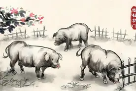 猪出之年：哪个五行年出生的猪人最有福，福运如虹，晚年福贵双全图片