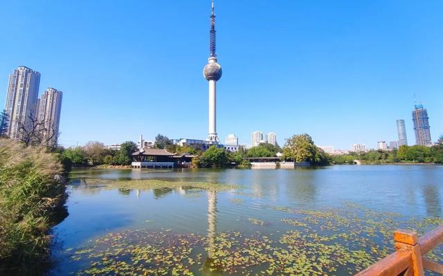 云龙公园春色好，绿肺含韵润彭城