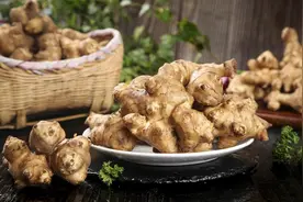菊芋，一种有着冠玉颜值的小众植物，它有哪些利用价值？怎样种它图片