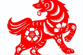 生肖狗出生在这几个月份的，是后福命，前半生凄苦，后来福！图片