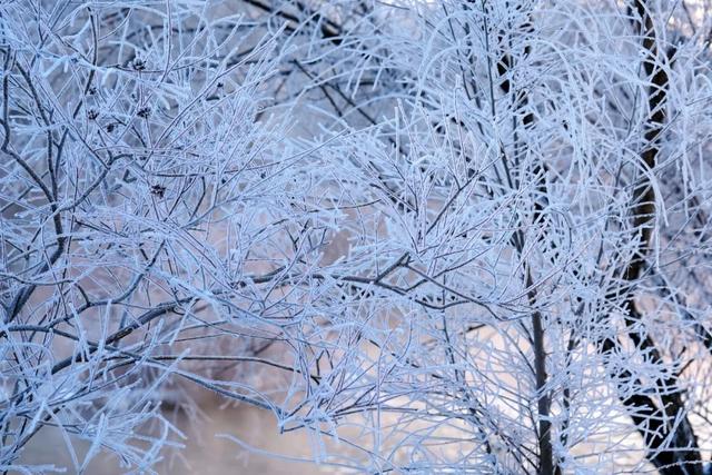 如要选一个冬季最佳拍雪景的地方，首选一定是它