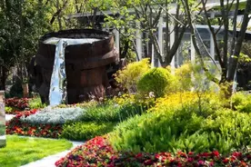 【探索】打卡本市新建口袋公园，可以从这些地方开始哦~图片