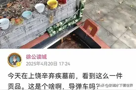 辛弃疾写的“东风”军事预言，被上坟网友破译了，夜放之后星如雨图片