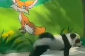 “骗你是小狗”——淄博动物园因为一只“熊猫”火了图片