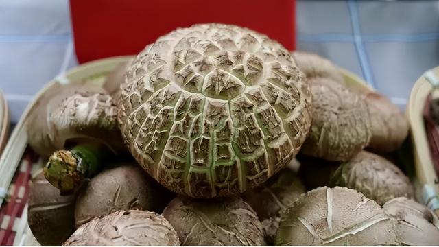 五一走进两当，追寻红色记忆