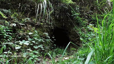 关于沩山，我想告诉你……