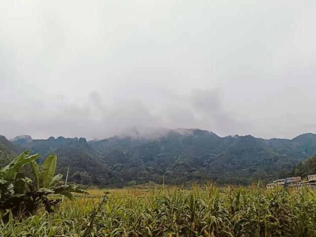 月在远山（01），初入纳翁（散文）