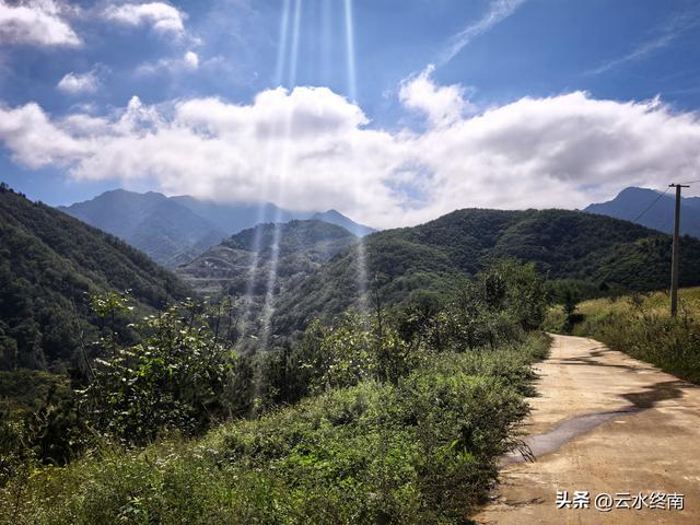 蓝田的美，美在隐秘：这是山边一条少有人走的路，我却走过很多次