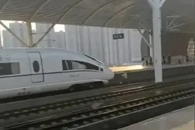 突发！女子跳下站台被高铁撞倒……官方通报图片