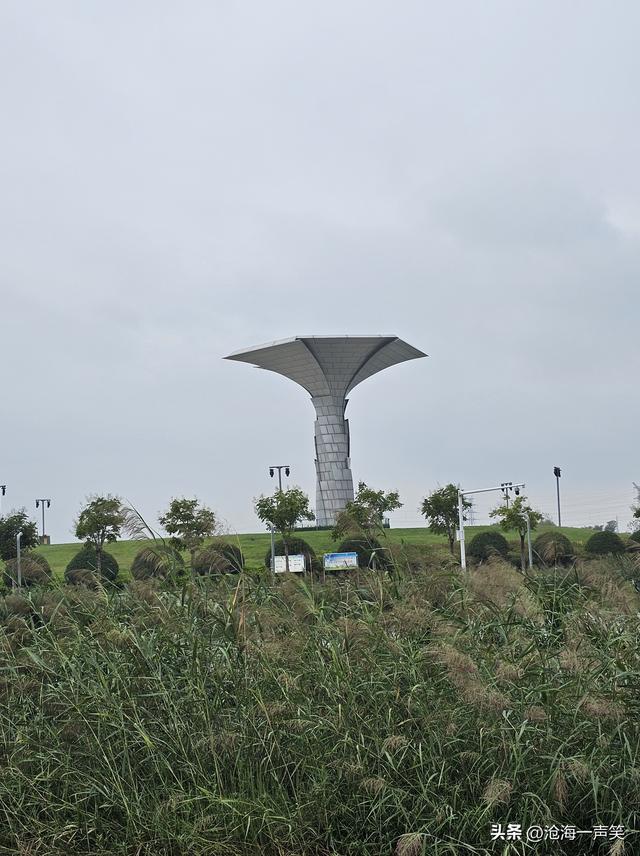 梅湖公园的擎天柱，撑起来天空，撑起来大地，撑起来人间底气！