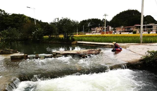 乡游黔中 · 长顺县 付家院村丨金菊翻浪映秋色,品味沉淀的时光