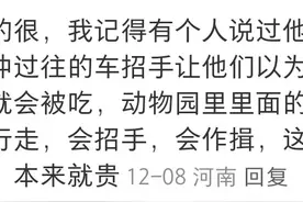 你孩子觉得熊可爱吗？把这些故事告诉你的孩子，让他懂得敬畏猛兽图片