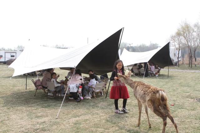 【兵韵春风·踏青惠民】看，鑫诚田园把春天“搬”到你面前！