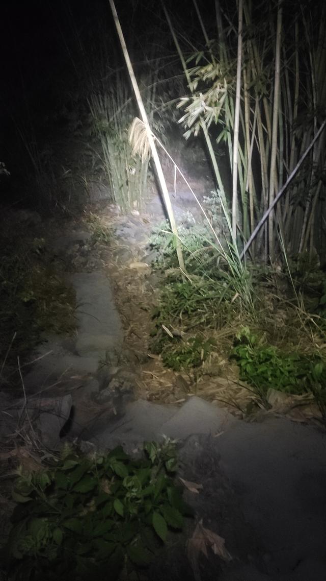 独自走在乡间大山里