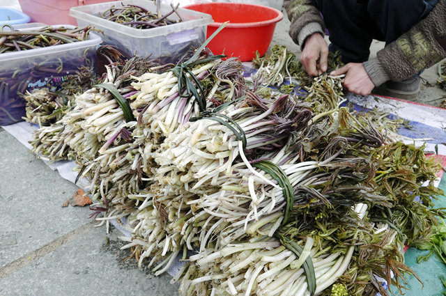 青睐绵阳 || 这个春天，来平武赴一场Color Walk