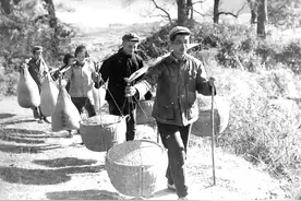 交过公粮的老农民，2024年能领多少养老金呢？答案来了图片