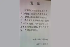 长春一小区通知将对地下车库流浪猫投药，物业：为了警醒遛狗业主，不是毒害流浪猫图片